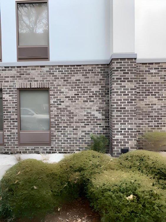 Exteriors of Hampton Inn hotel